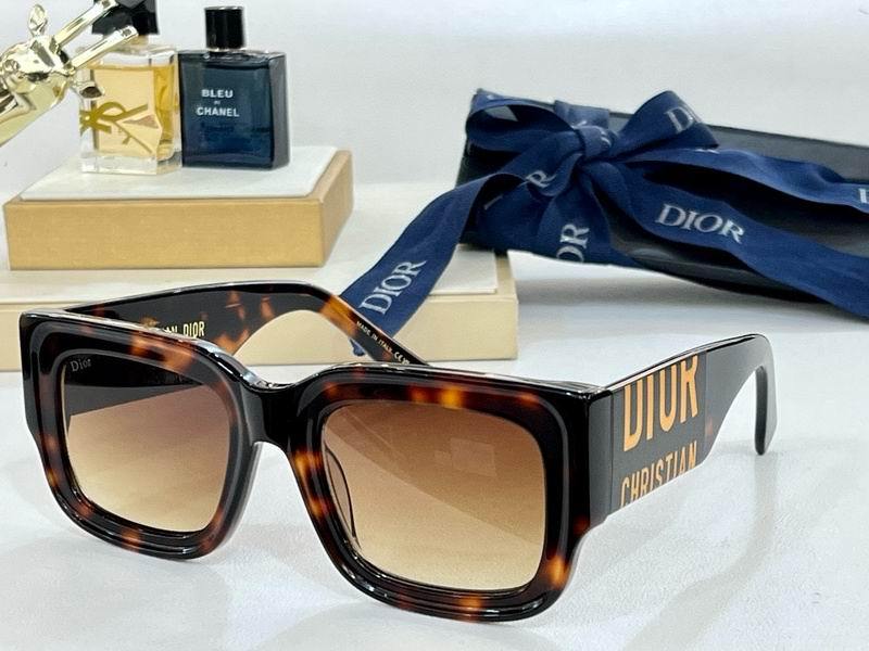 DIOR Sunglasses 313